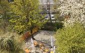 Туры в отель Ambassador Parkhotel