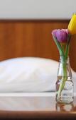 Туры в отель Ambassador Parkhotel