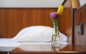 Туры в отель Ambassador Parkhotel