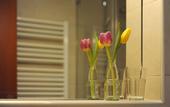 Туры в отель Ambassador Parkhotel