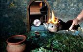 Туры в отель El Santuario Resort & Spa