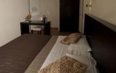 Туры в отель Hotel Serenella