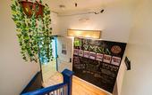Туры в отель Samesun Venice Beach - Hostel