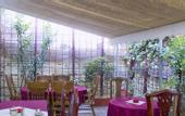 Туры в отель Ilion Hotel Suites