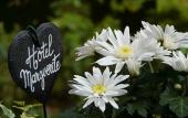 Туры в отель Logis Hotel Marguerite