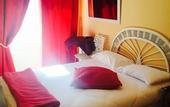 Туры в отель Hotel Le Petit Chateau