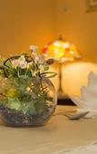 Туры в отель Royal Suites