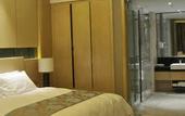 Туры в отель Swancity International Hotel Zhengzhou