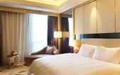 Туры в отель Swancity International Hotel Zhengzhou
