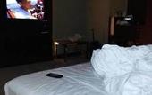 Туры в отель Xin Sheng Da Hong Sheng International Hotel