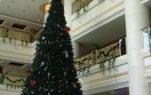 Туры в отель Donsheng Hotel