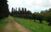 Туры в отель Case di Latomie Agriturismo - Turismo Rurale