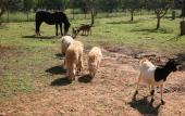 Туры в отель Case di Latomie Agriturismo - Turismo Rurale
