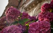 Туры в отель Chateau d'Apigne