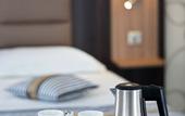 Туры в отель HOTEL ARVERNA VICHY - ClT'HOTEL