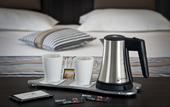 Туры в отель HOTEL ARVERNA VICHY - ClT'HOTEL
