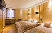 Туры в отель ibis Styles Annecy Le Vieux