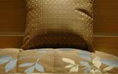 Туры в отель ibis Styles Annecy Le Vieux