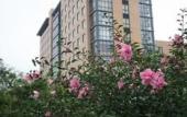 Туры в отель Ningbo Siji Ruili · CheerLily By Dragon