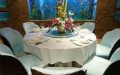 Туры в отель Ningbo Siji Ruili · CheerLily By Dragon