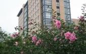 Туры в отель Ningbo Siji Ruili · CheerLily By Dragon