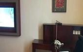 Туры в отель Red Forest Hotel