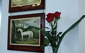Туры в отель Villa Elda Boutique Hotel
