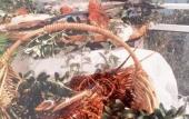 Туры в отель Le Roquebrune