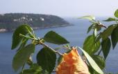 Туры в отель Le Roquebrune