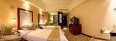 Туры в отель Henan Skyland GDH Hotel