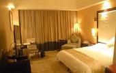 Туры в отель Henan Skyland GDH Hotel