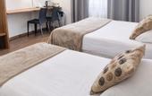 Туры в отель The Originals City, Hotel Colmar Gare