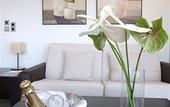 Туры в отель Senator Aguilas Hotel
