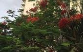 Туры в отель Sanya Bay Kangyi Holiday Inn (Coconut Dream Corridor Branch)
