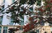 Туры в отель Sanya Bay Kangyi Holiday Inn (Coconut Dream Corridor Branch)