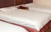 Туры в отель Shenyang Airport Hotel