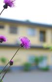 Туры в отель Hiraizumi Hot Spring Ryokan Soba'an Shizukatei