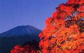 Туры в отель Kawaguchiko Hotel New Century