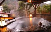 Туры в отель Traditional Onsen Ryokan Izu Yugashima Shirakabe