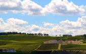 Туры в отель Borgo Conde Wine Resort