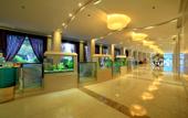 Туры в отель Gem Flower Jinyu Sunshine Hotel (Chengdu Mix City )