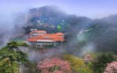 Туры в отель Huangshan Shilin Hotel