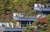 Туры в отель Huangshan Shilin Hotel