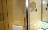 Туры в отель nanchang Trilec International Hotel