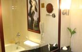 Туры в отель nanchang Trilec International Hotel
