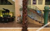 Туры в отель Huihua International Hotel