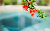 Туры в отель HUAQING PALACE RESORT & SPA