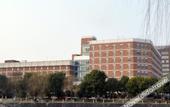 Туры в отель Chalon International Hotel