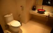 Туры в отель Scholars Hotel (Zhenjiang City Government Sports Exhibition Center)