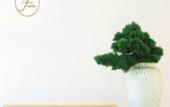 Туры в отель JI Hotel (Shenyang Zhangshi Development Zone)